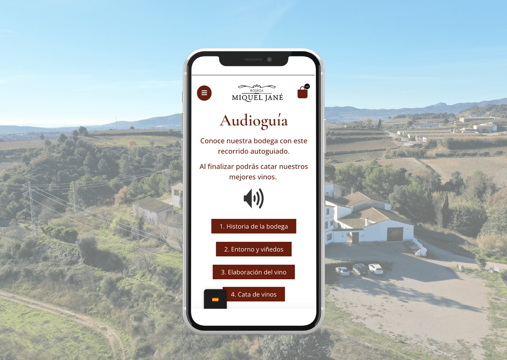 Self-Guided Wine Tour at Bodega Miquel Jané