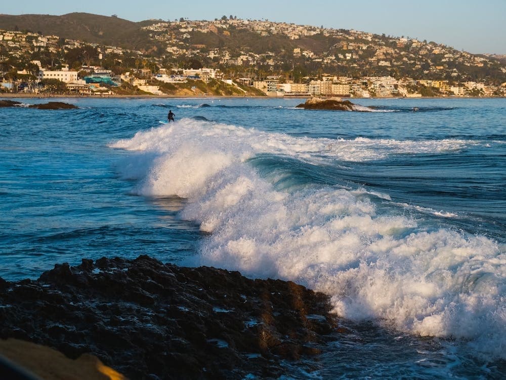 Surf Lesson Laguna fleet