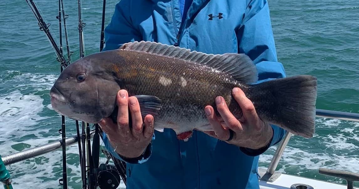 Fishing Charters for Tautog & Sea Bass in Virginia Beach