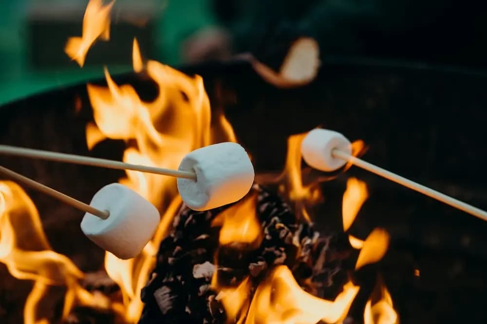 Hands-On Bushcraft Adventure in Twechar, Scotland — Shelter Building and Firecraft
