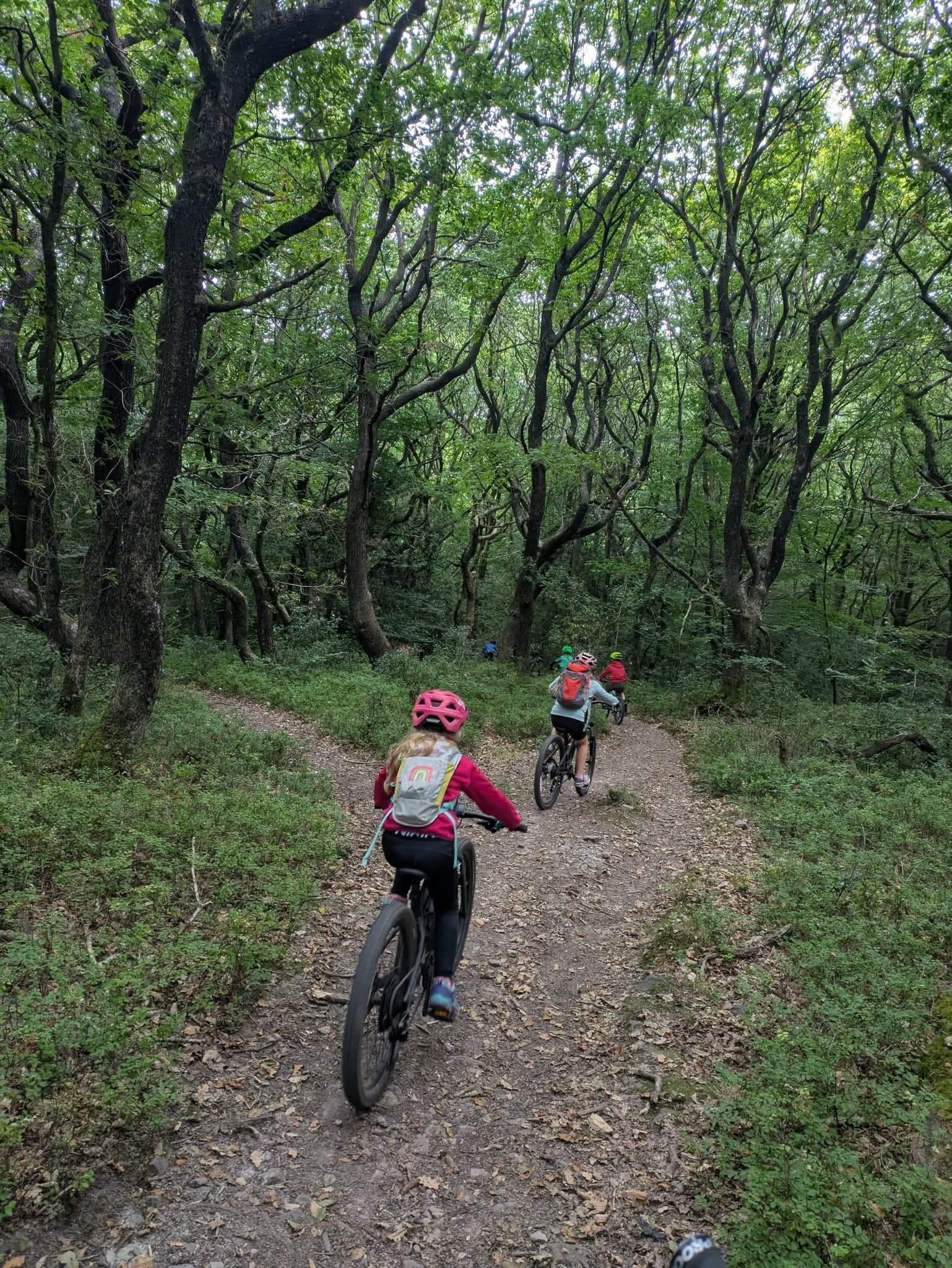 Youth Mountain Biking on Exmoor: Webbers Post to Horner Beginner Session in Porlock