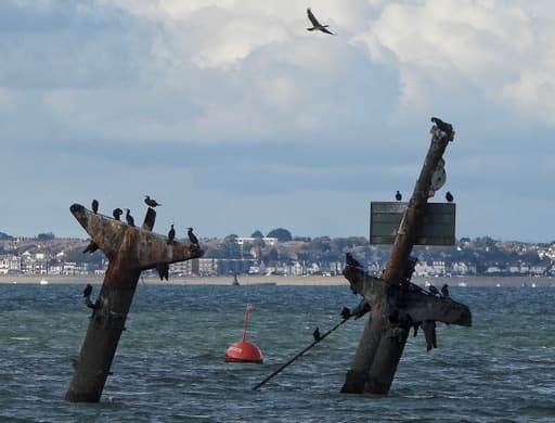 Sailing to the Maunsell Forts: Grand Forts Tour from Queenborough photo 2