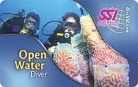 Private Open Water Diver Course in Ocala: SSI Certification & Springs Dives