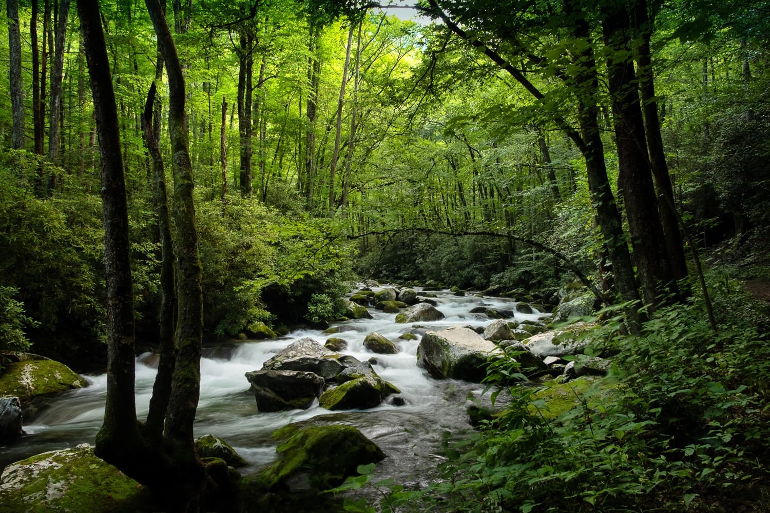 Waterfall Hikes with Asheville Photo Tours