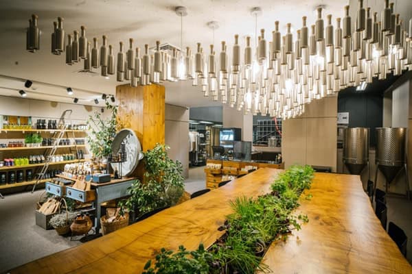 Land Adventures: Olive Oil Experience with Eco Local Tours