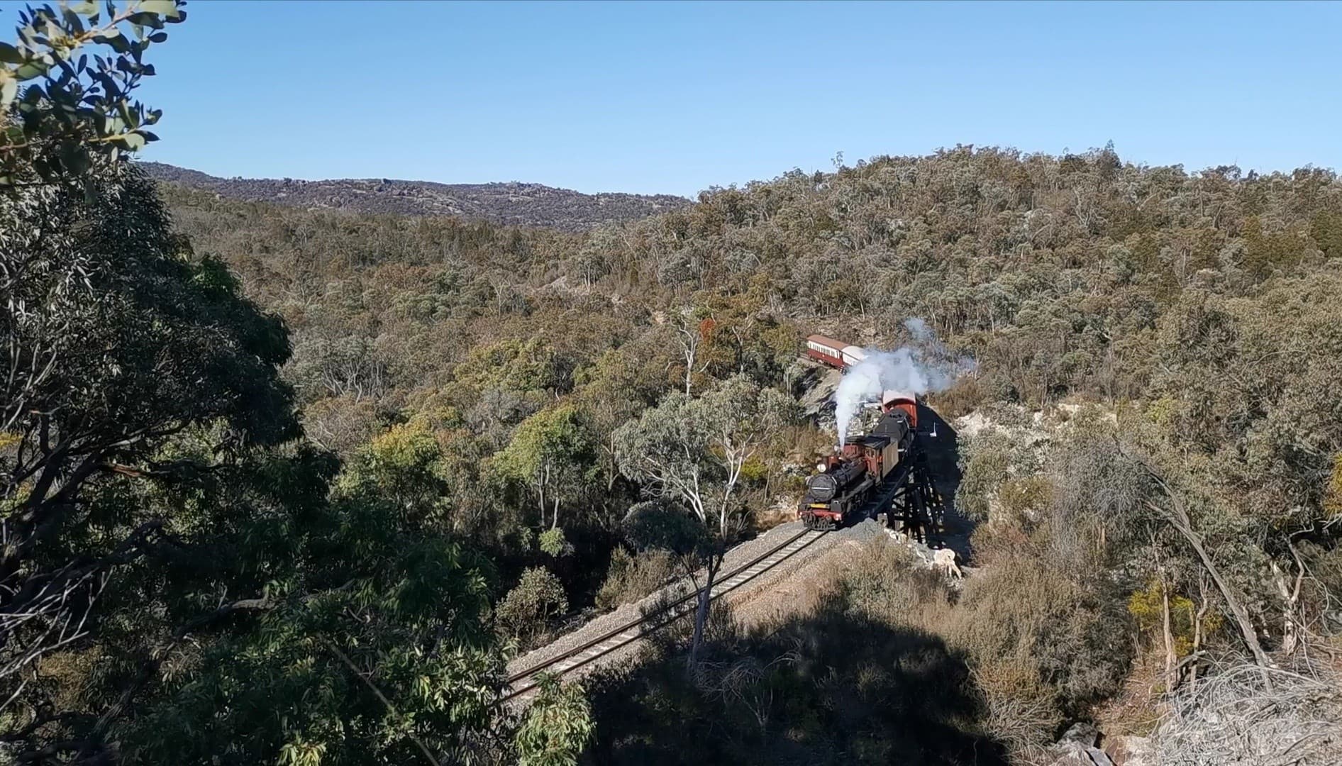 Granite Belt Heritage Rail: Warwick to Stanthorpe Morning Journey photo 3