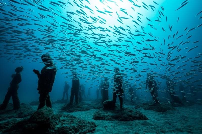 Scuba divers under a huge fish school near Lanzarote reef