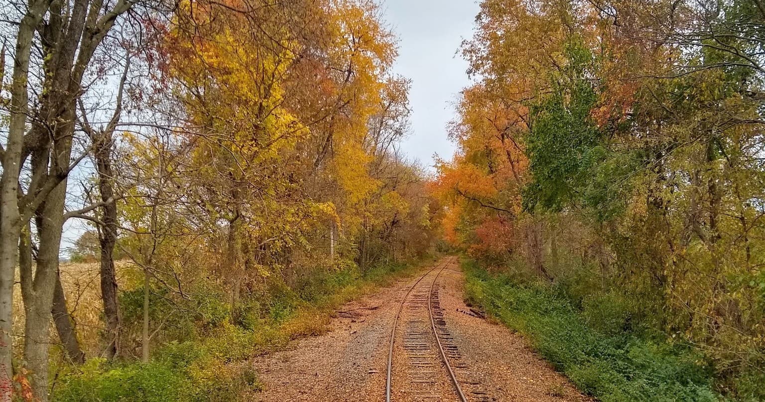 Abandoned railroad tracks through autumn forest trail scenery