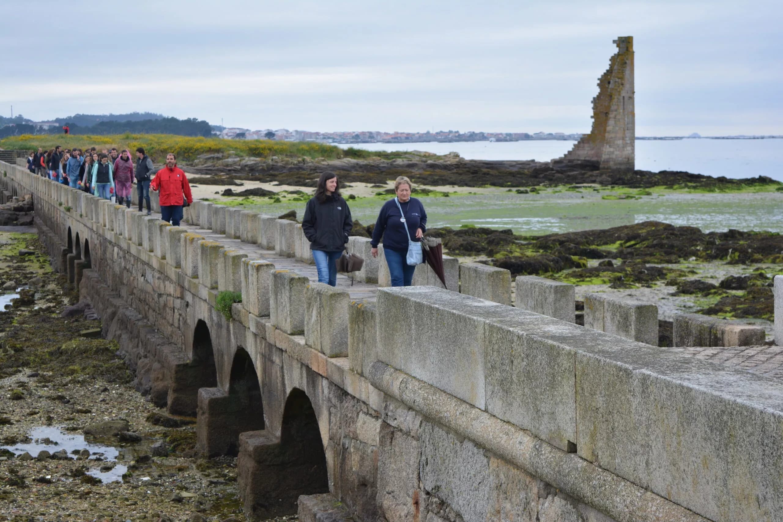 Seafood & Clam Digging with Bluscus Turismo Marinero in Cambados