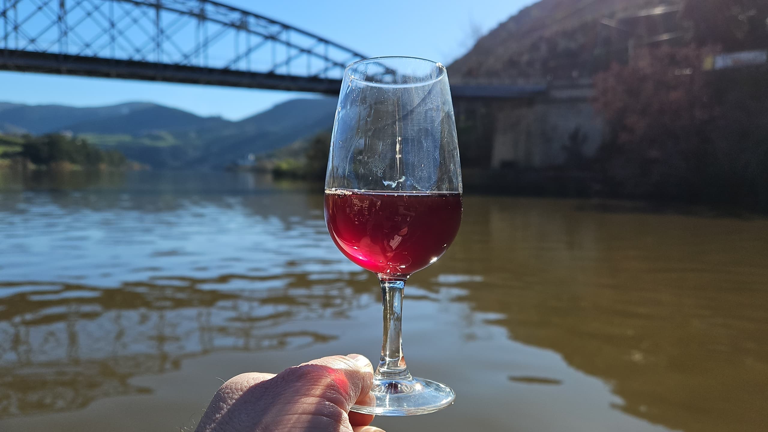 Douro River & Valley Journey with Go Travel Everywhere from Gaia