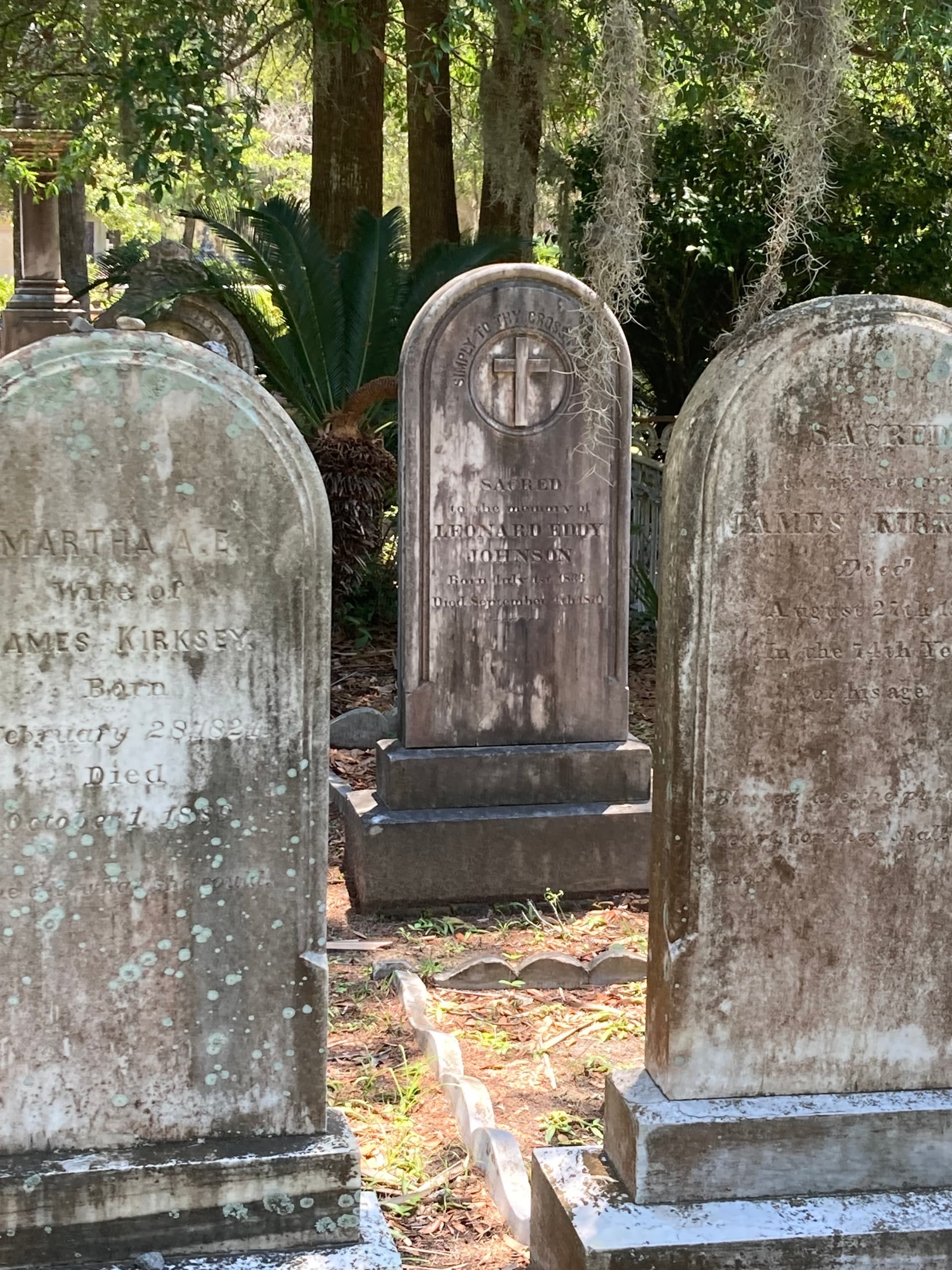 Wise Guys Historical Tours fleet