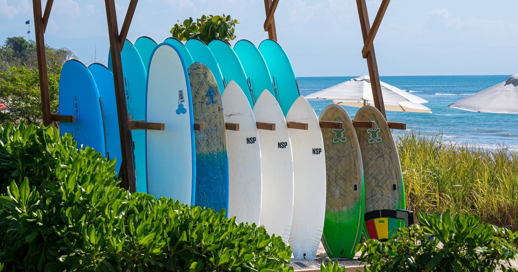 Stand-Up Paddleboarding with Surf Mexico in Mexico
