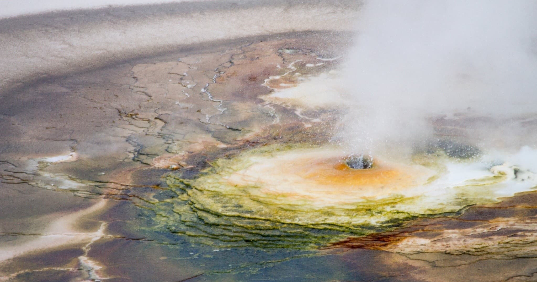 Yellowstone Full Day Small Group Tour with Good Trip Adventures