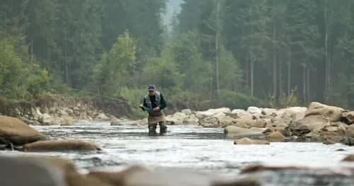Angler casting in rocky river channel surrounded by pines