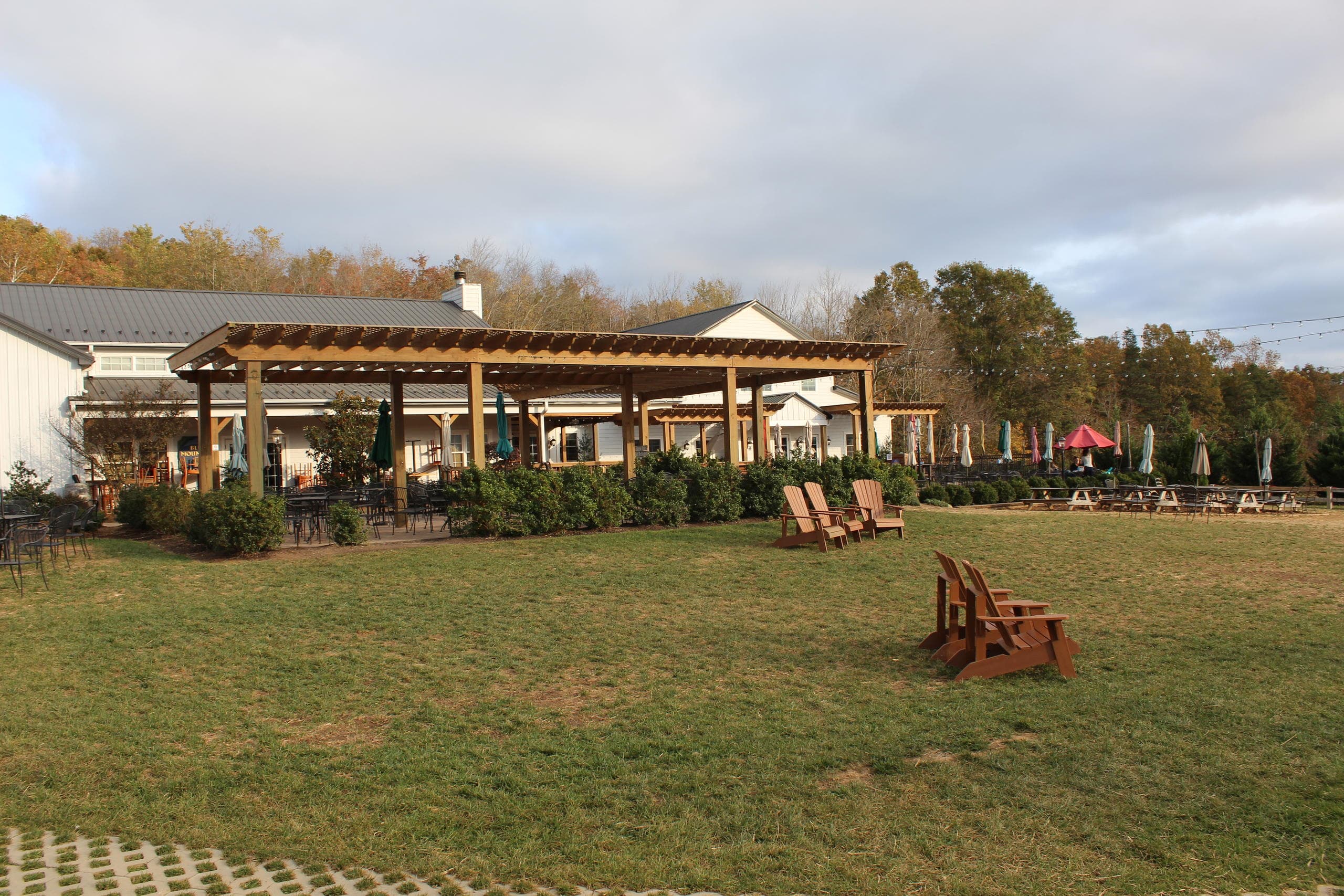 Explore Charlottesville's Best Breweries and Wineries with the Afton Hop On Tour