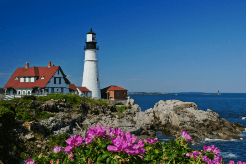 Pedal Kentucky Bourbon Country: 5-Day Bike Tour from Keeneland to Shaker Village