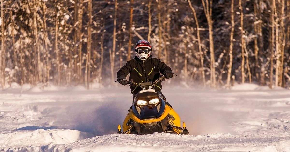 Thrilling Sled Adventure in Kamloops, British Columbia