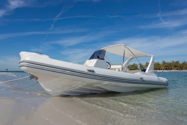 Island and Sandbar Hopping from Holmes Beach: Snorkel, Shells & Private Sandbars photo 4