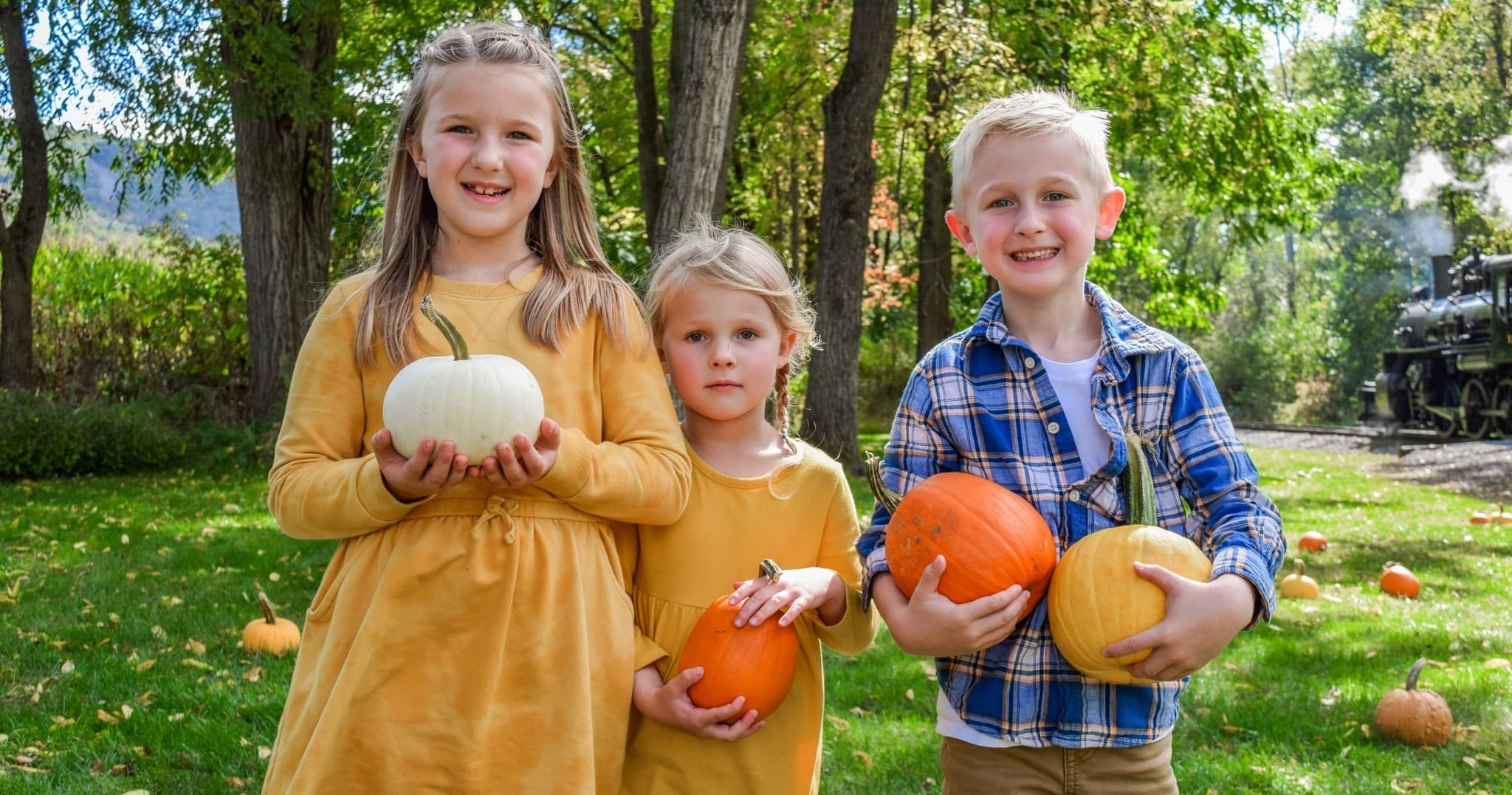 Pumpkin Patch Train Adventure in Hollidaysburg, PA