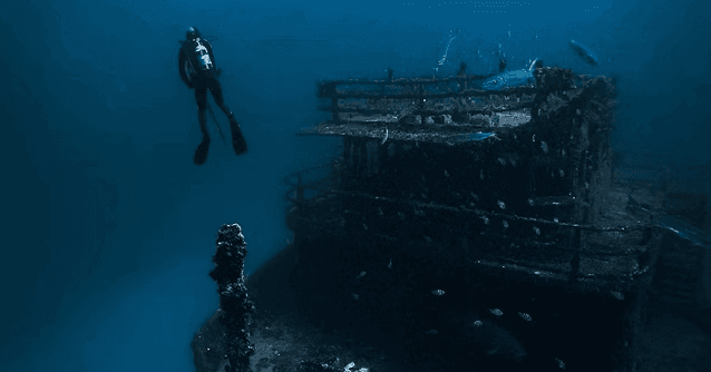 West Palm Beach 2-Tank Reef Dive: Explore Coral Gardens & Sea Turtles with Gung Ho Divers