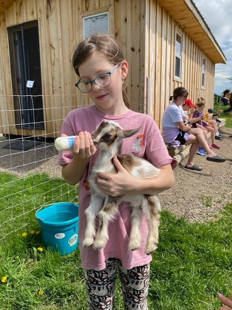 Bottle Feed Baby Goats in Martintown: 30-Min Farm Snuggle Experience