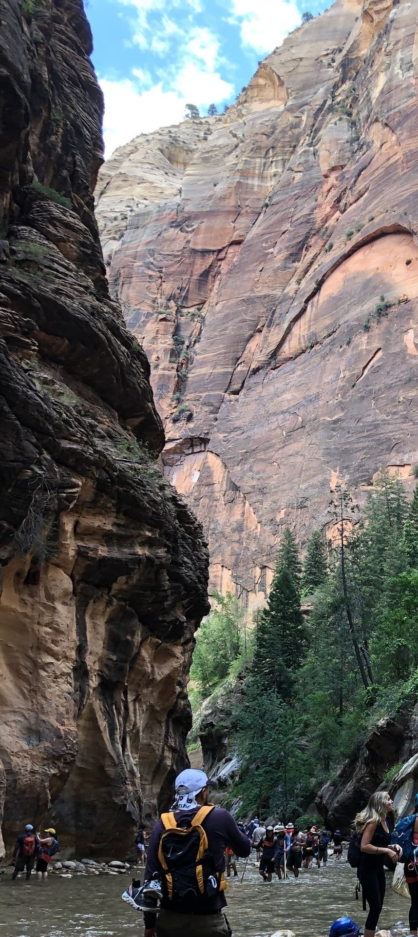 Private Narrows Hiking with East Zion Adventures, Orderville