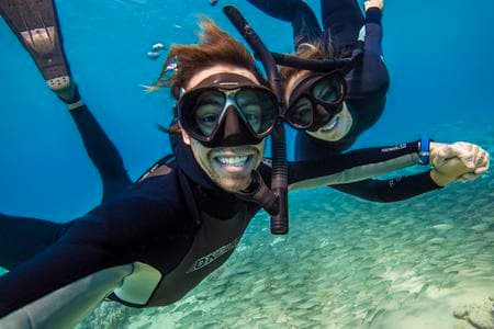 Shark Search Kona: Swim with Hawaii’s Apex Predators on a Thrilling Guided Tour