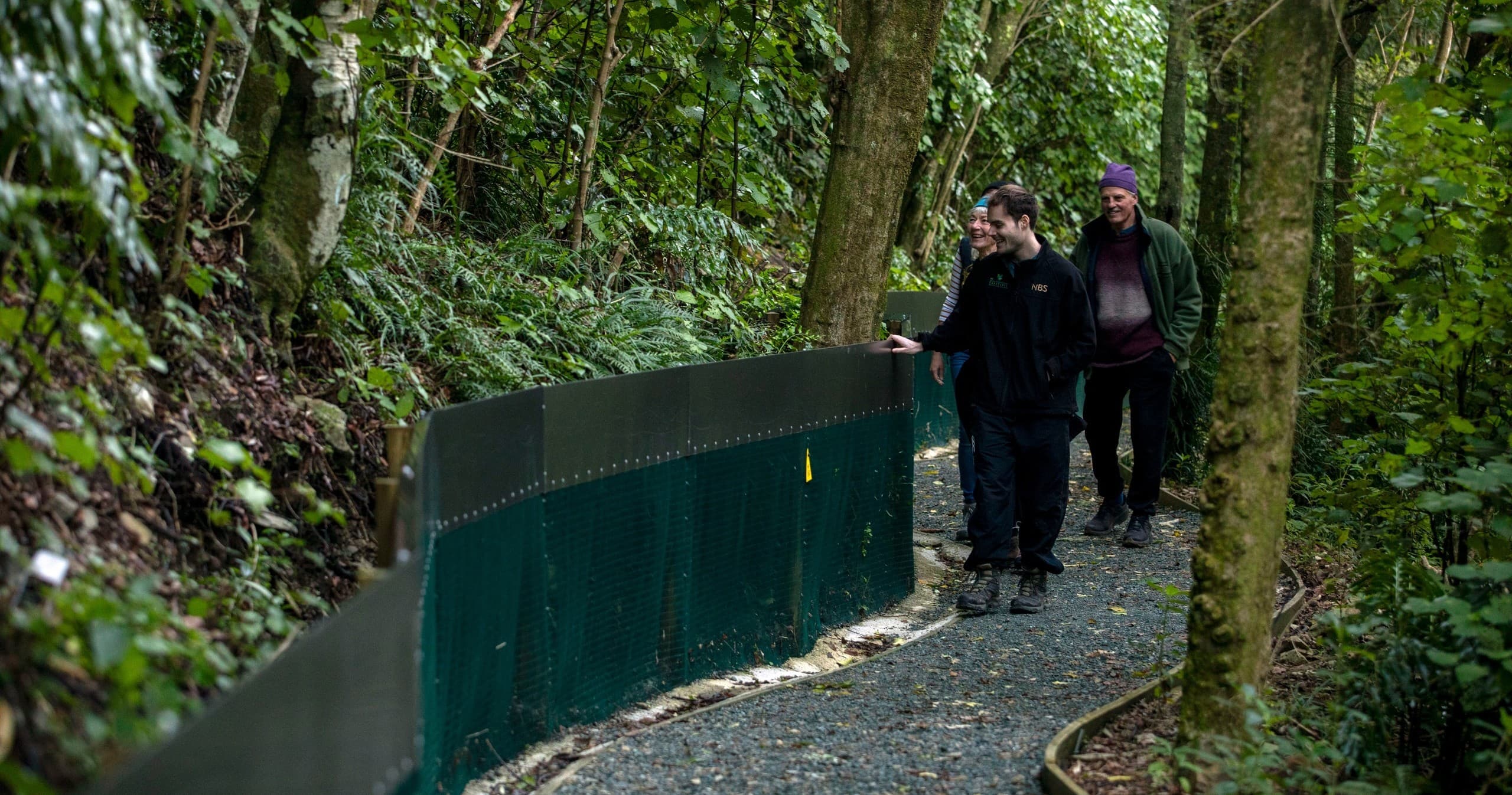 Hikers walking a gravel forest trail through dense bush