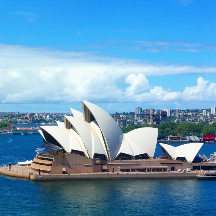 Port Stephens Dolphin Cruise and Sandboarding Day Trip from Sydney