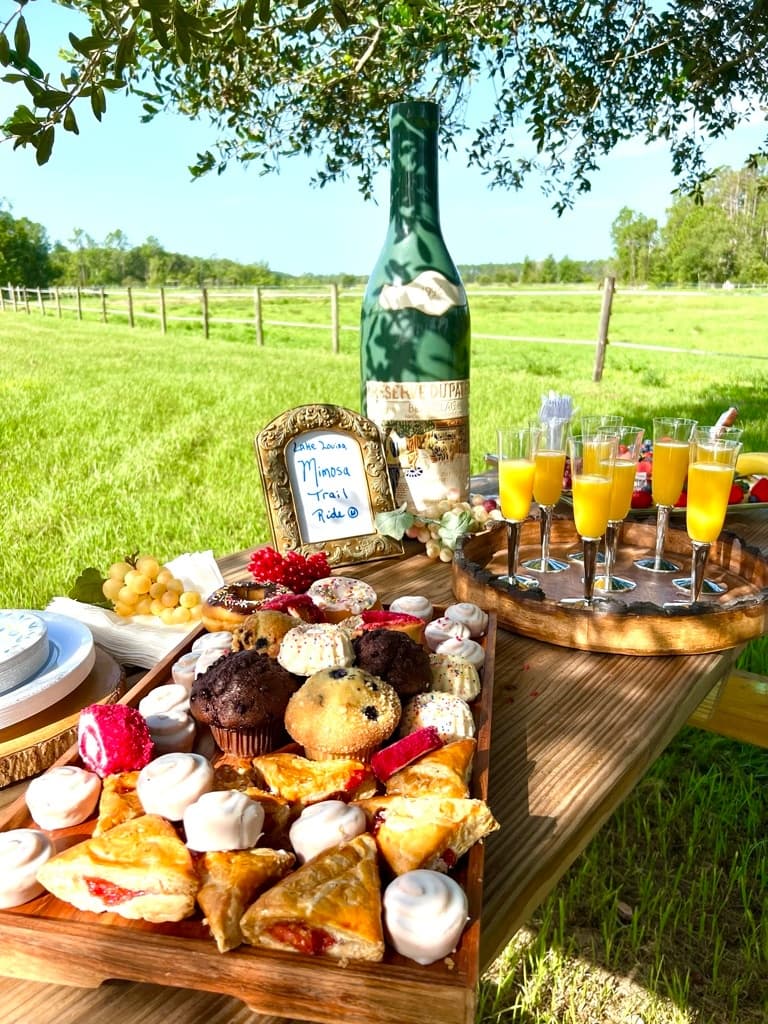 Trail Ride & Brunch at Lake Louisa State Park in Clermont