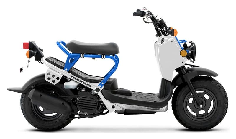 Honda Ruckus Mopeds Adventure in Mears, Michigan