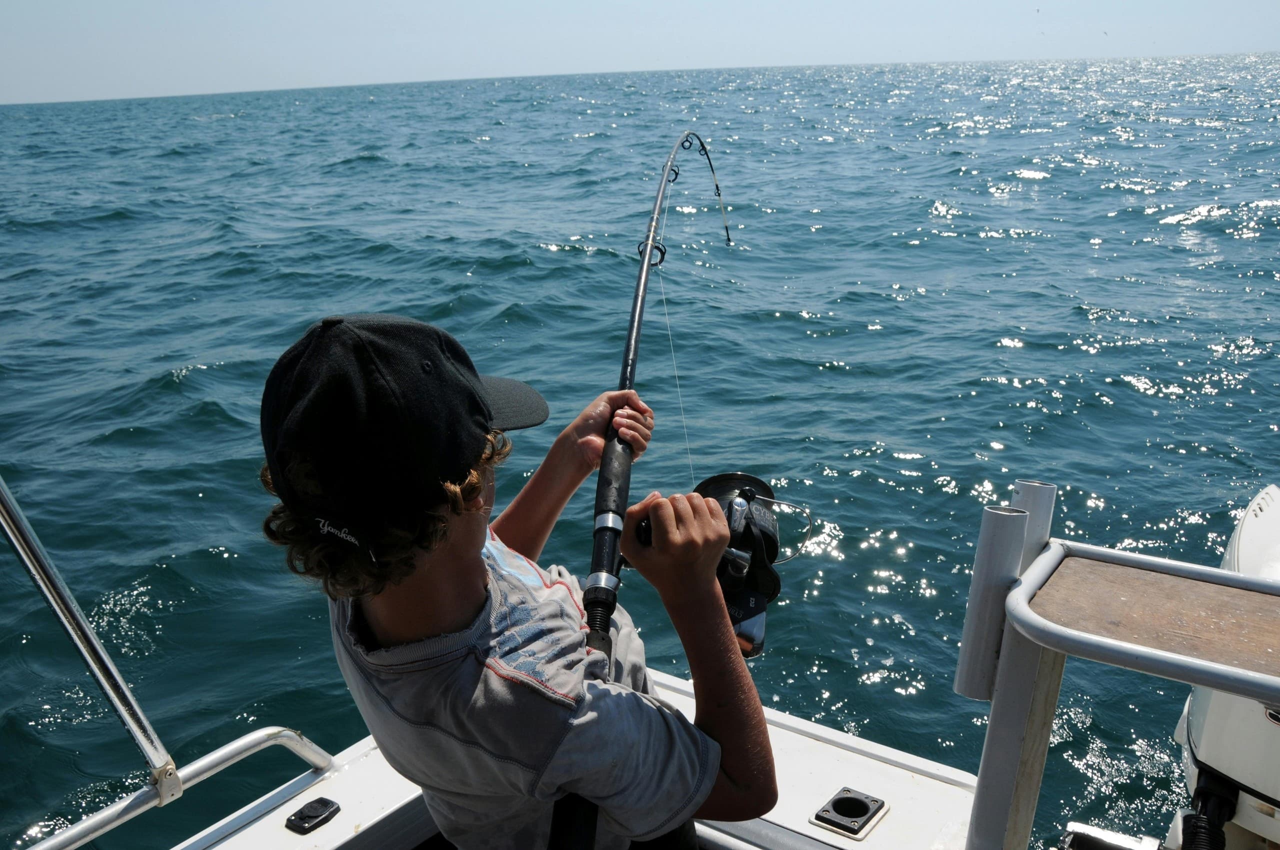Ponce Inlet Shark Fishing Charters: 4-Hour Offshore Battles With Bull and Blacktip Sharks