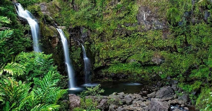 Road to Hana Deluxe Rainforest & Waterfall Tour Maui