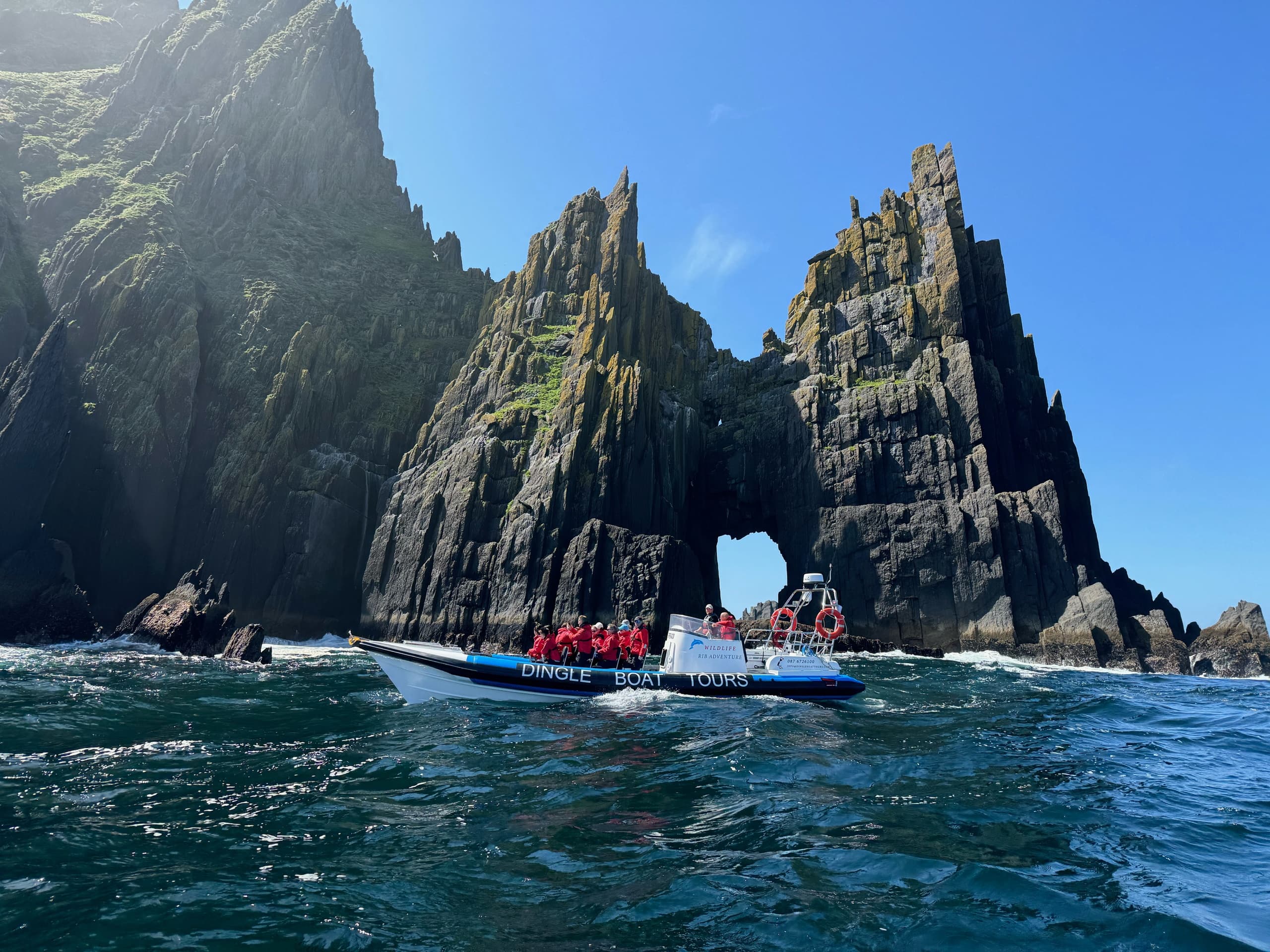 Wildlife RIB Adventure with Dingle Boat Tours, Kerry