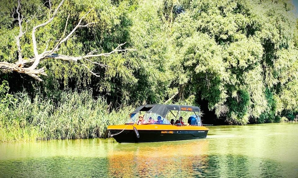 Tour boat cruising past dense riverside forest in daylight