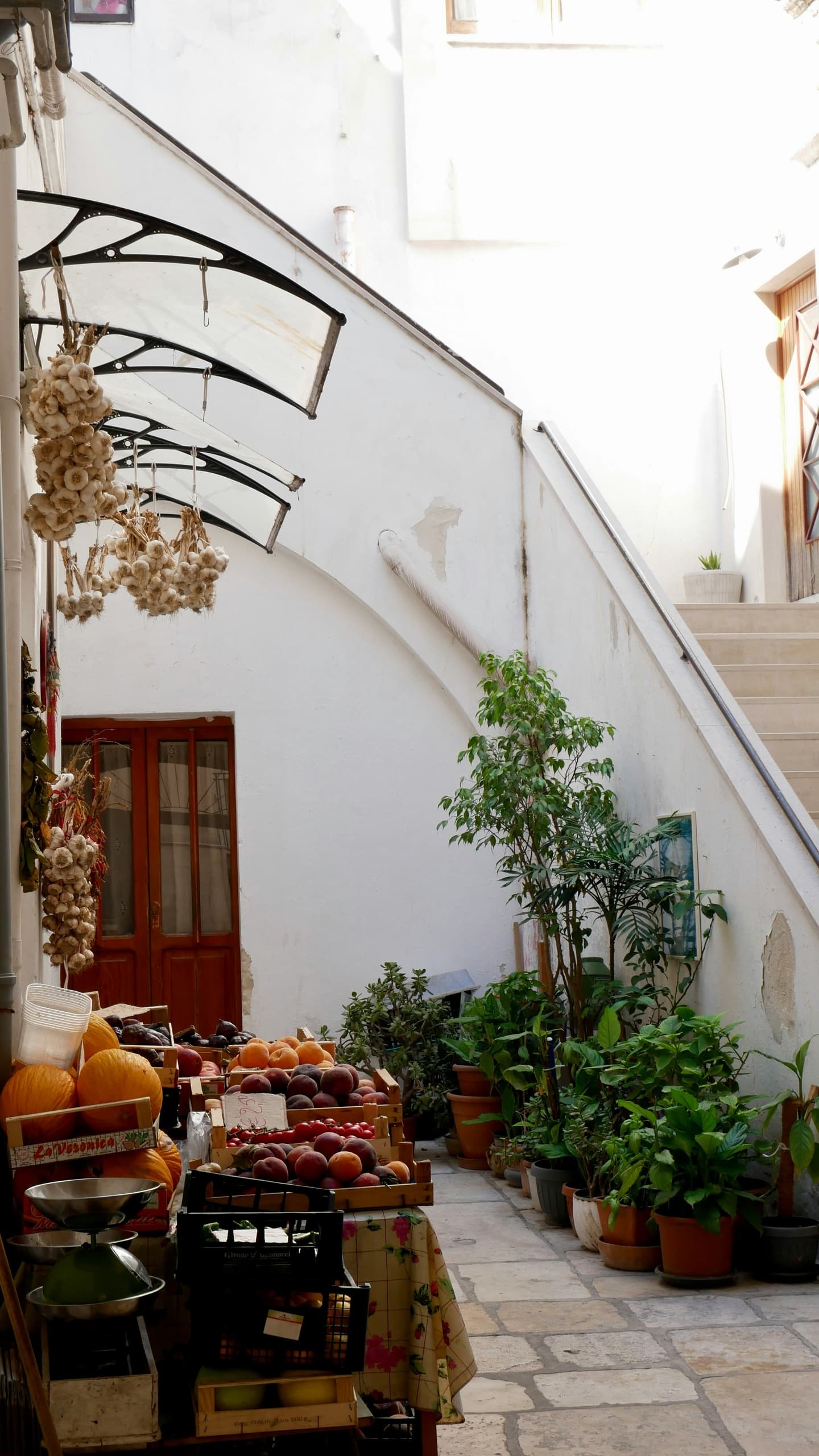 Bari Street Food Tour with Velo Service in Southern Italy