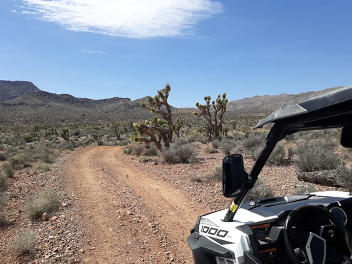 Thrilling 1-Hour ATV Ride in Goodsprings, Nevada