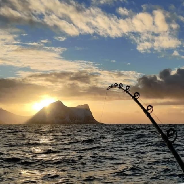 Arctic Fishing Adventure with Hamn i Senja in Northern Norway