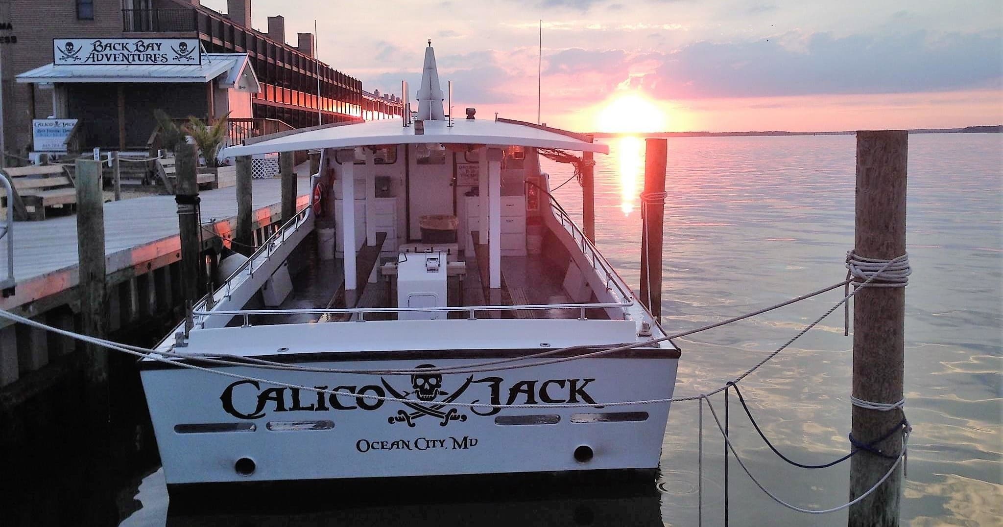 Back Bay Adventures fleet