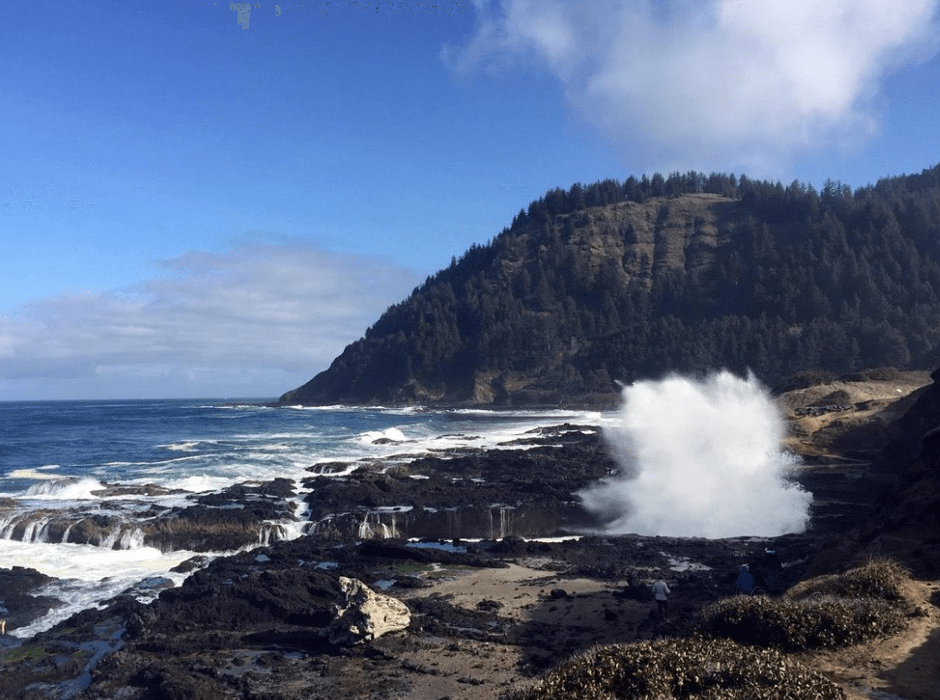 Rocky coastal blowhole and waves on rugged ocean headland
