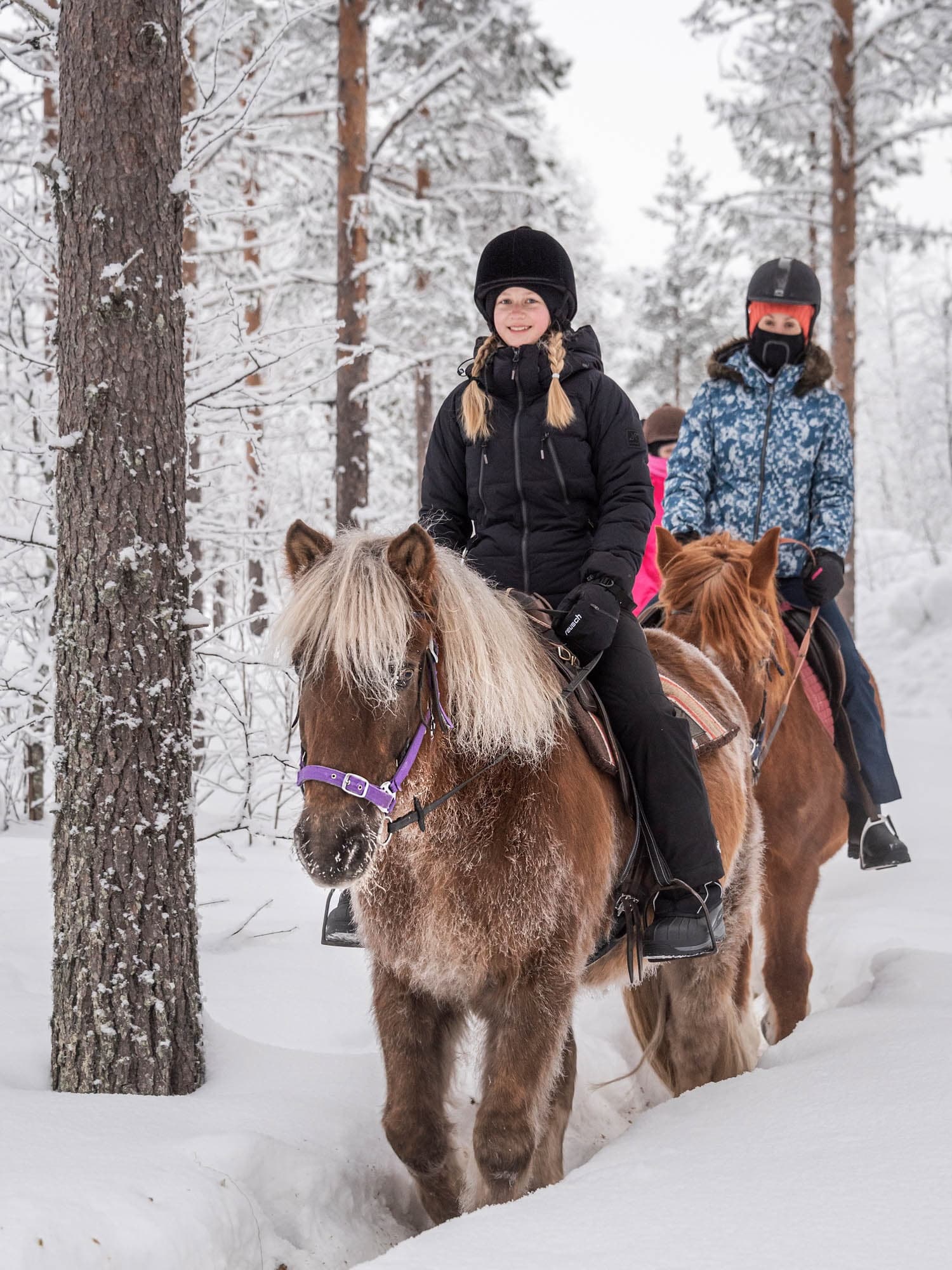 Winter Horseback Riding in Lapland with Polar Lights Tours