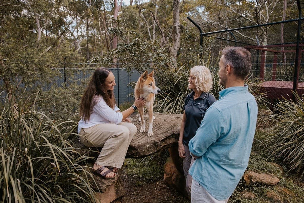 Behind the Scenes at Hills Wildlife Sanctuary — Private Keeper-Led Australian Wildlife Tour
