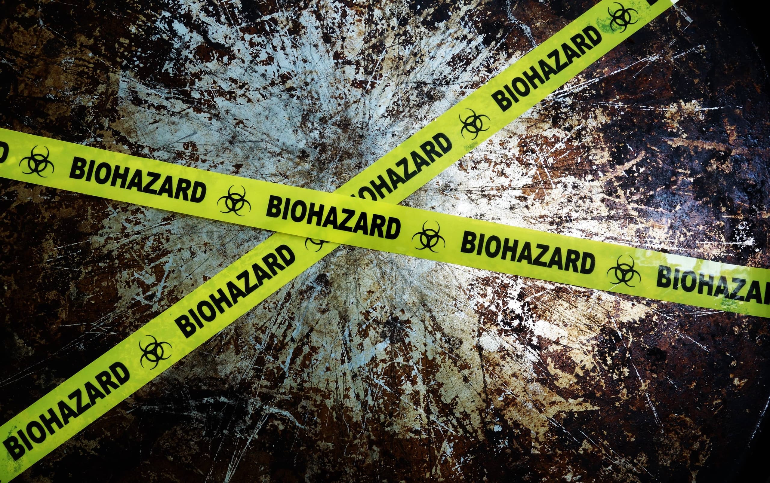 Escape Game Adventure at Kletterwald Regensburg