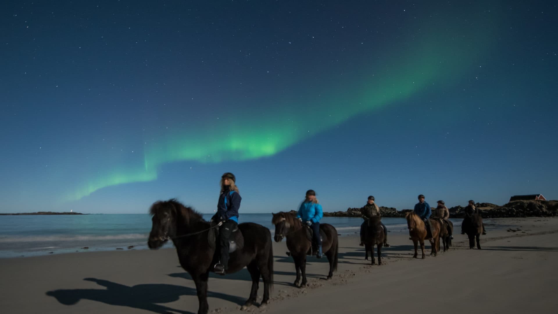Northern Lights Tour in Gimsøysand with Hov Gard