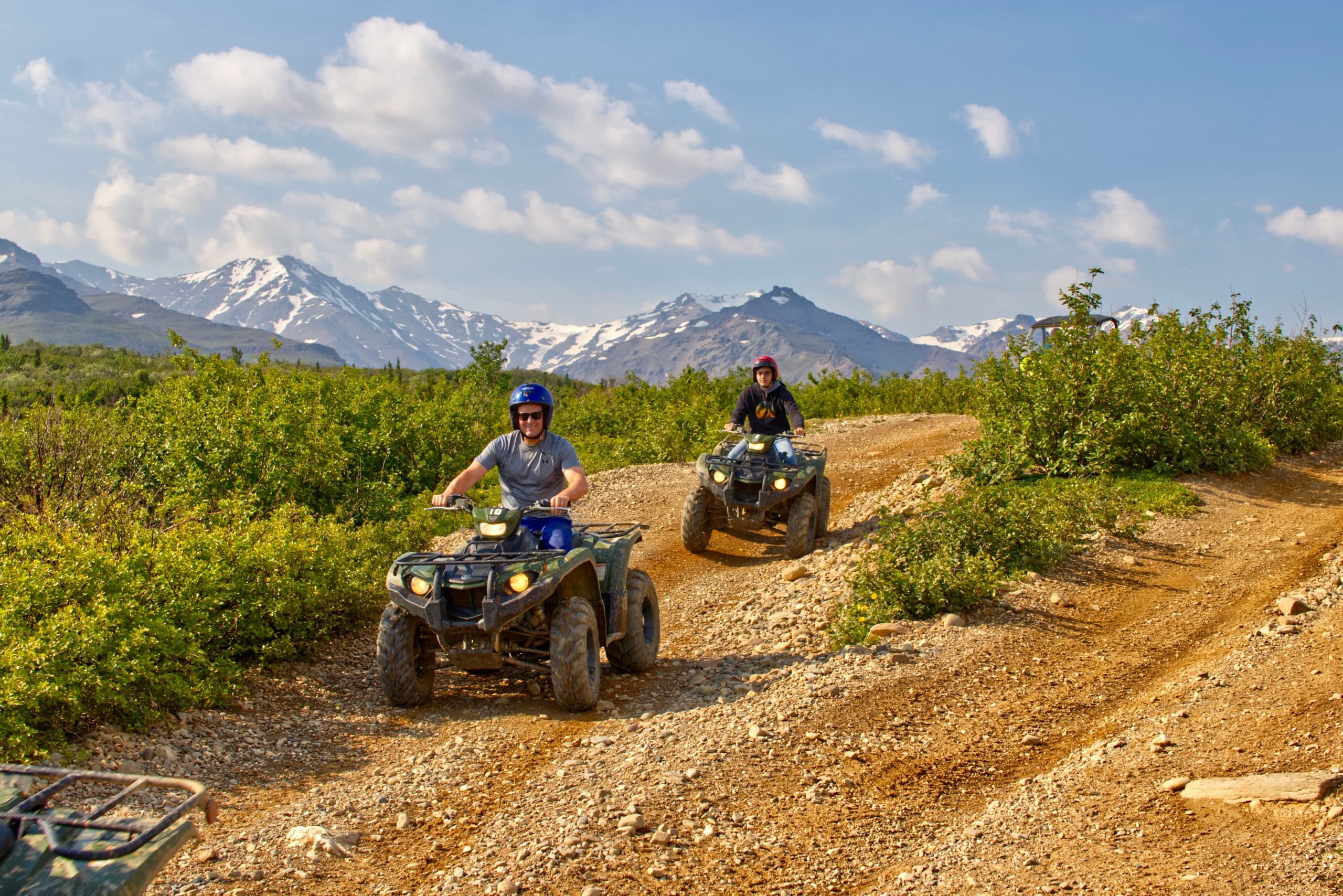 Land Adventures with Denali Tour Company in Denali