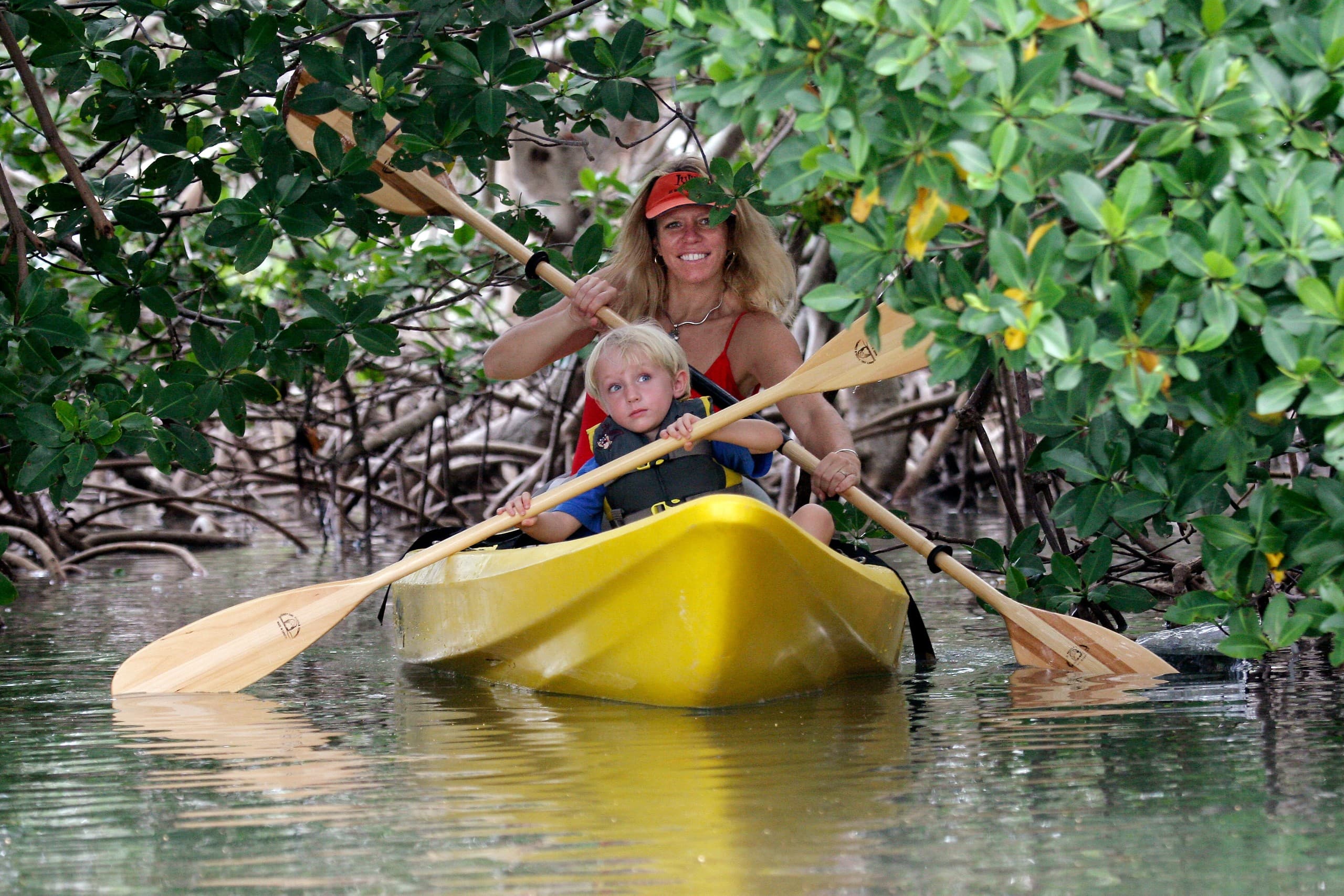 Key West Kayak, Guided Snorkel & Sunset Sail Aboard Java Cat — Honest Eco Small-Group Tour photo 2