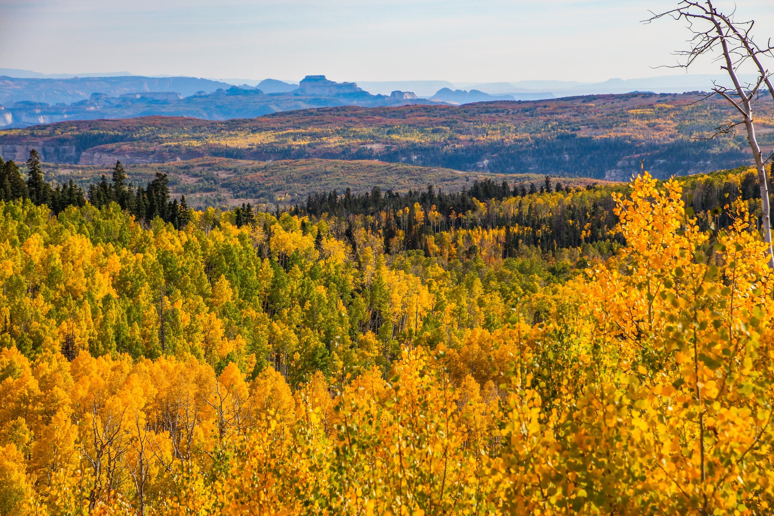 Land-Adventures & Nature at Cedar Mountain Fall Colors Tour