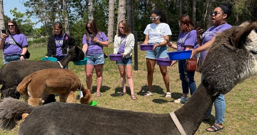 Land Adventures & Alpaca Farm Tour in Wisconsin Dells