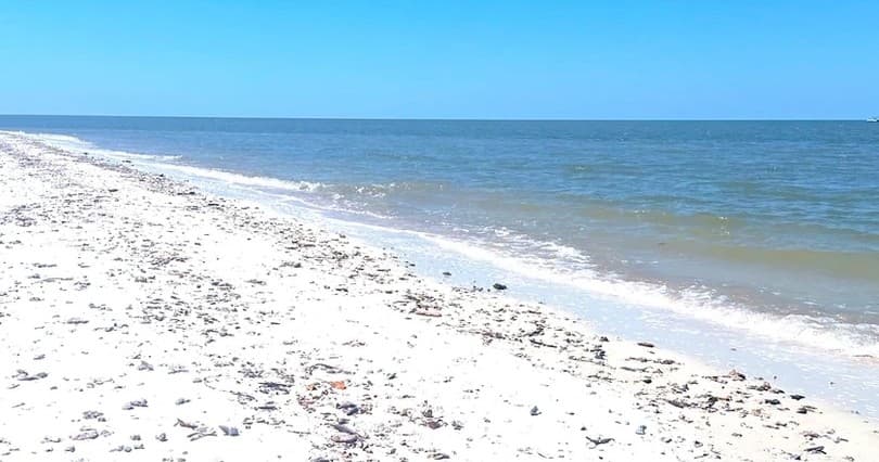 Pristine white sand beach and calm Gulf shoreline in Naples