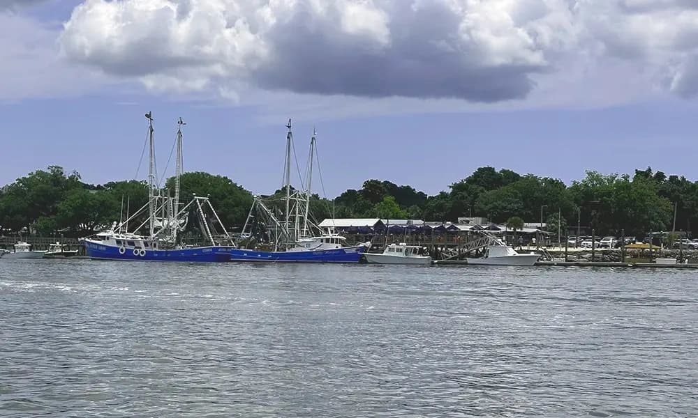 Island Connection Boat Ventures, LLC fleet